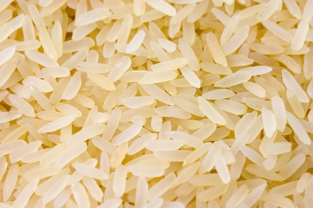 rice, grain, corn